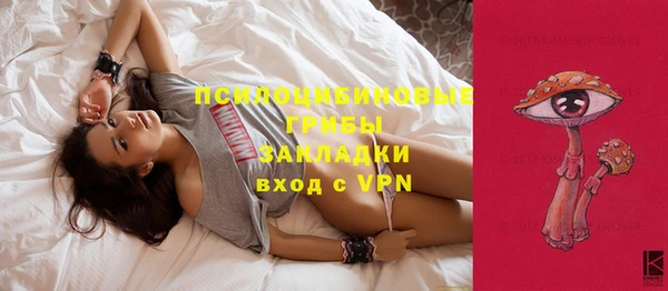 прущая мука Краснослободск