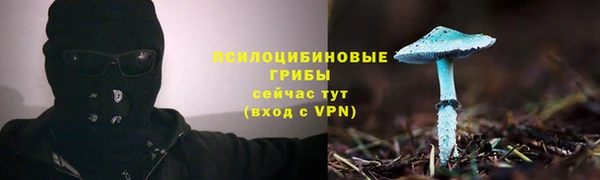 прущая мука Краснослободск