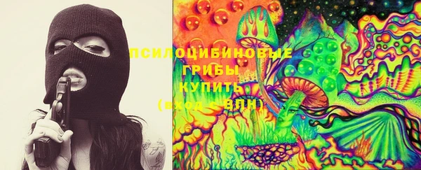 прущая мука Краснослободск