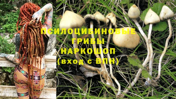 прущая мука Краснослободск