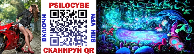 Псилоцибиновые грибы Psilocybe  Купить  Вихоревка 